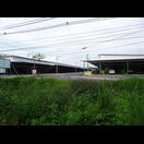 Die meisten Hallen, in denen die Durians umgeschlagen werden, haben etwa diese Größe